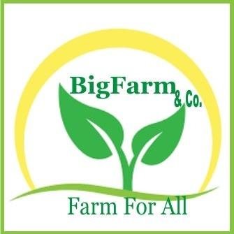 BIGFARM LIMITED